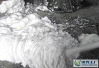 動物型、復(fù)合型與超級水泥發(fā)泡劑 技術(shù)轉(zhuǎn)讓與市場應(yīng)用前景分析